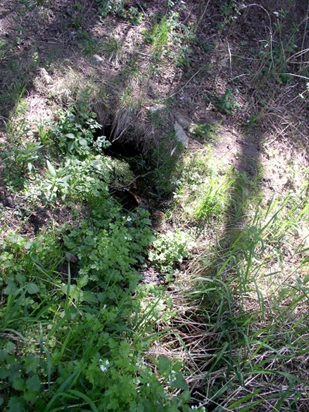 studánka Pod Strážkou (1) - květen 1999
