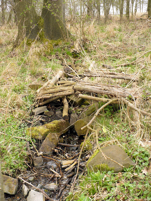 studánka Jasanka (2) - květen 1999
