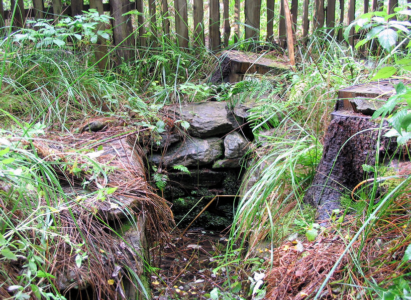 studánka U Tří smrků (8) - červenec 1999