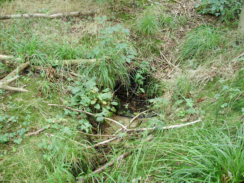 studánka Na Fibichu (24) - září 1999