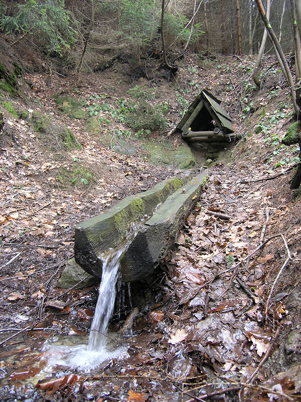 Černá studánka (29) - listopad 2013