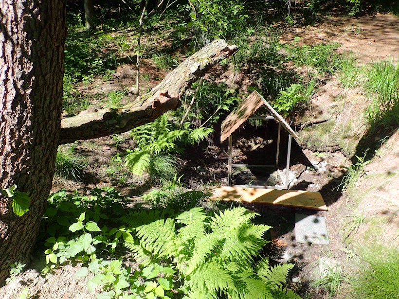 studánka Nedbalka (38) - květen 2021