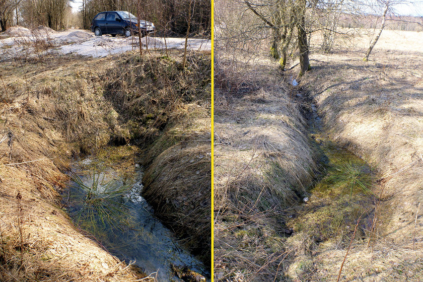 studánka bez jména (71) - březen 2001
