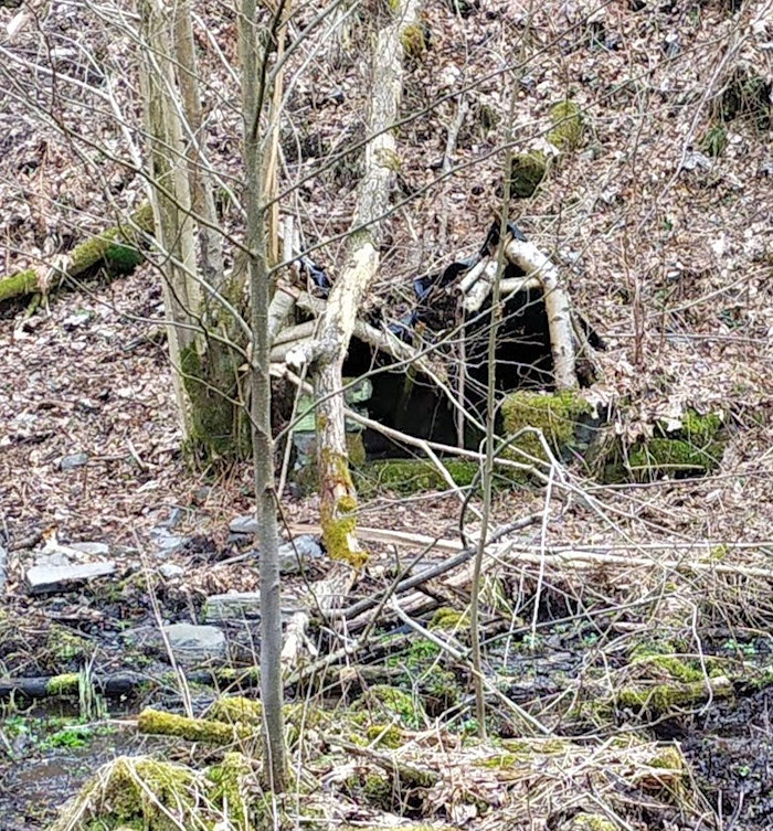 studánka Magdalénka (74) - duben 2021