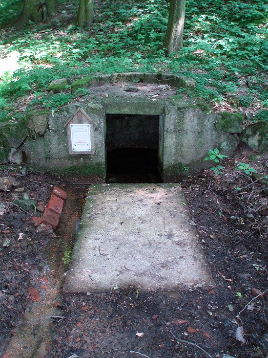 Ringhofferova studánka (85) - datum neznámé