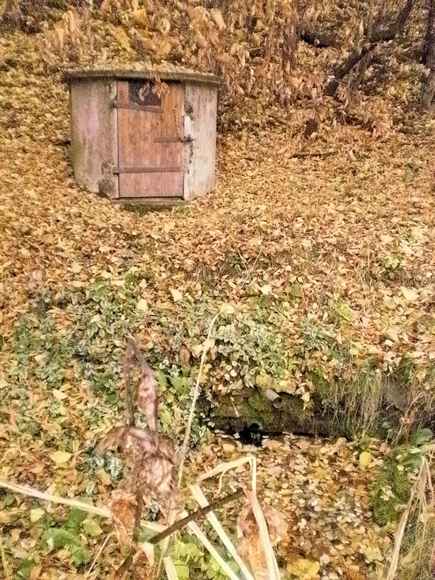 studánka Na Cikánce (86) - květen 2001