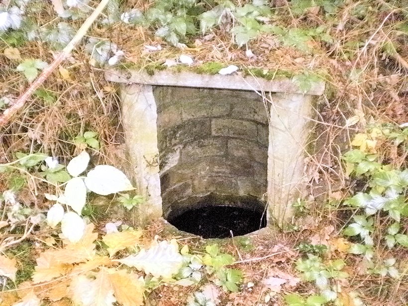 studánka Šamotka (87) - květen 2001