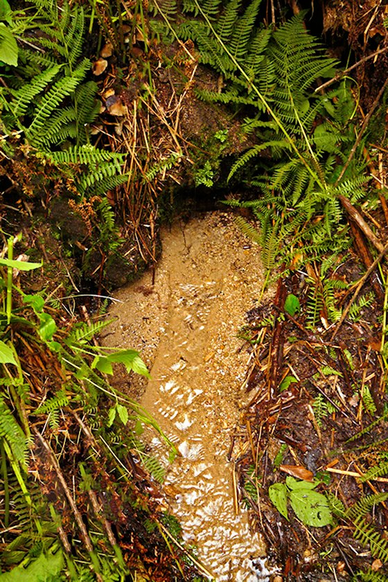 studánka Žabí pramen (96) - říjen 2001