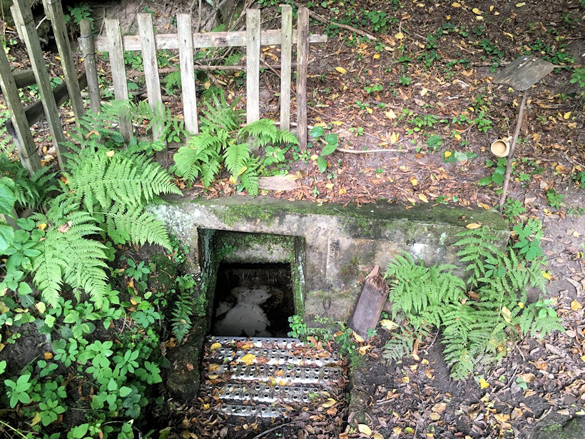 studánka Pytlíkov (1004) - datum neznámé