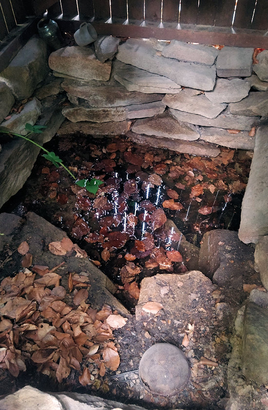 studánka Eliščina (1007) - srpen 2022