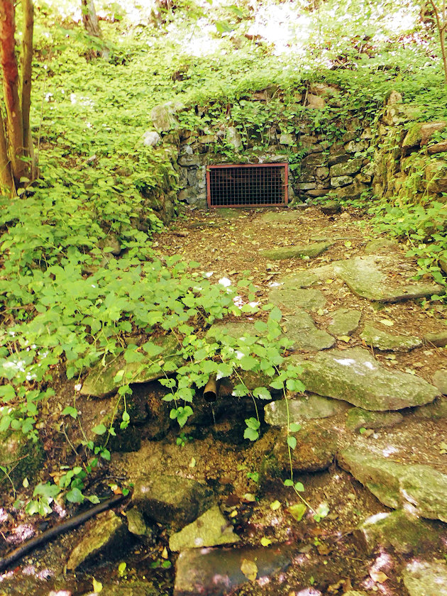studánka Gruberova (1008) - červenec 2022