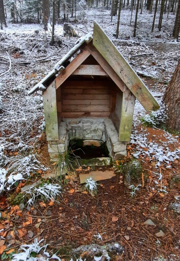 studánka Buková leč (1011) - prosinec 2024