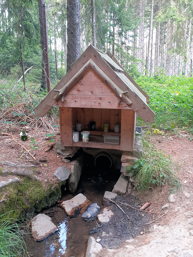 jiný vodní zdroj Knížecí Studánky (1012) - červenec 2019