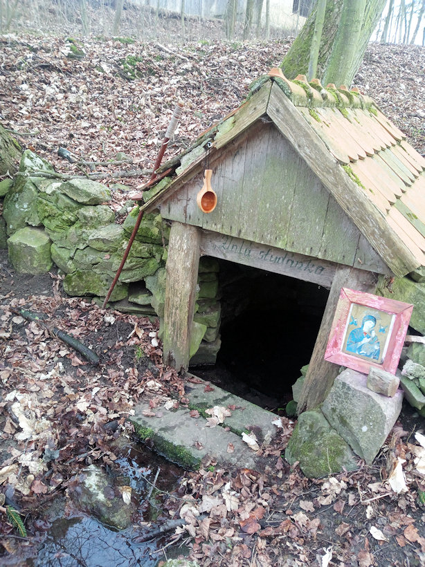 studánka Zlatá (1018) - únor 2020