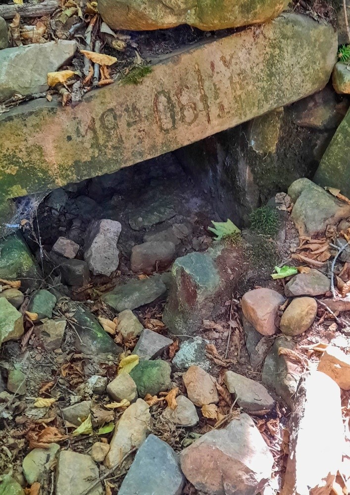 Halounská studánka (1032) - srpen 2025