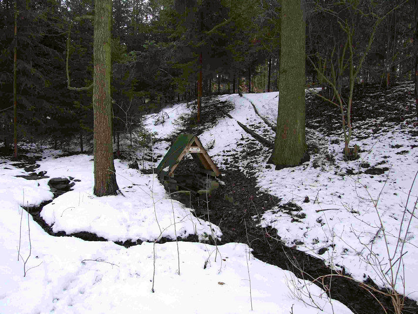 pramen Pod jedlí (1034) - březen 2009