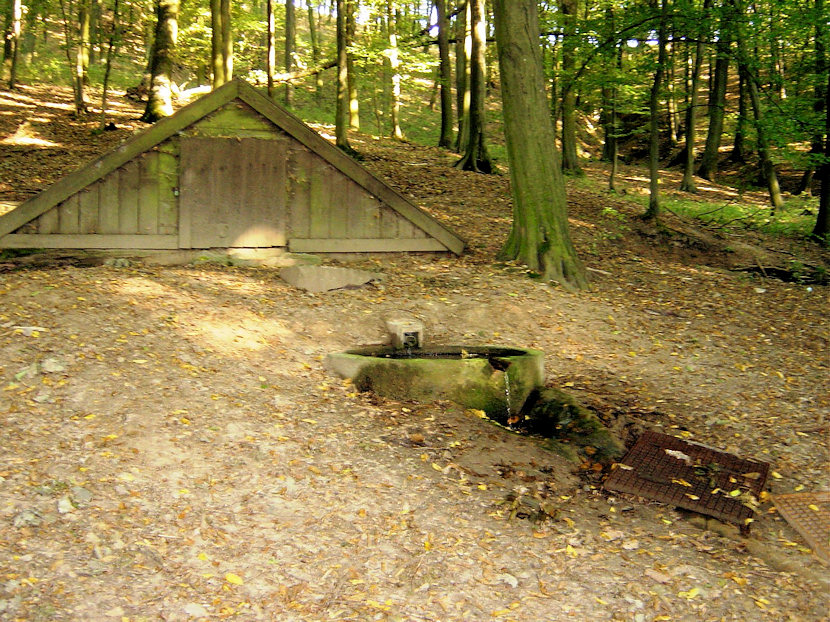 studánka Havlínova (1047) - březen 2009