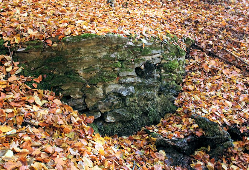 Studánka Nad Doubskou (1048) - červenec 2017