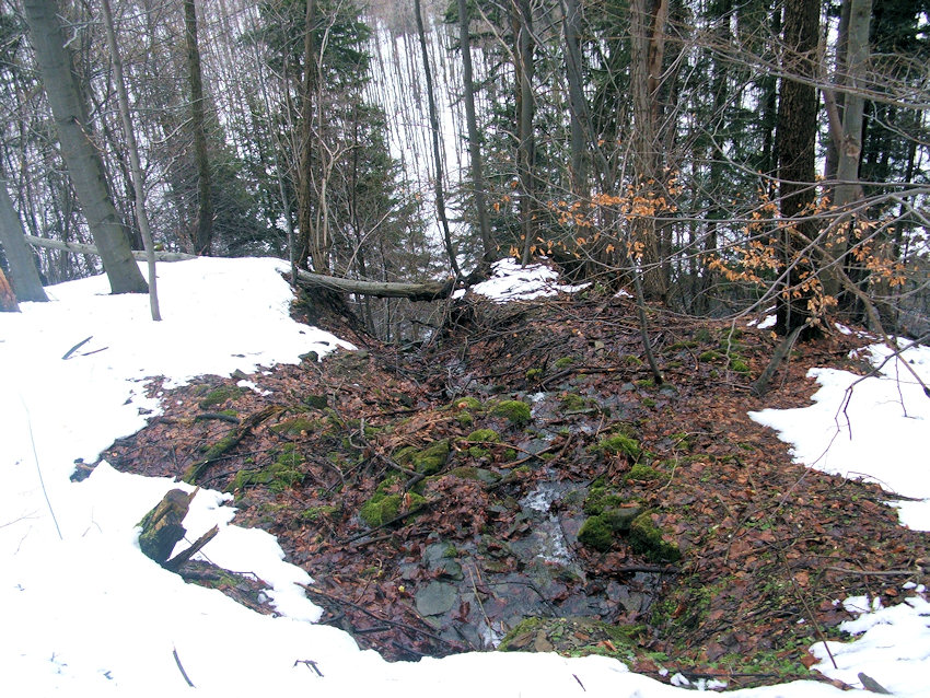 prameniště Močarka (1054) - březen 2009