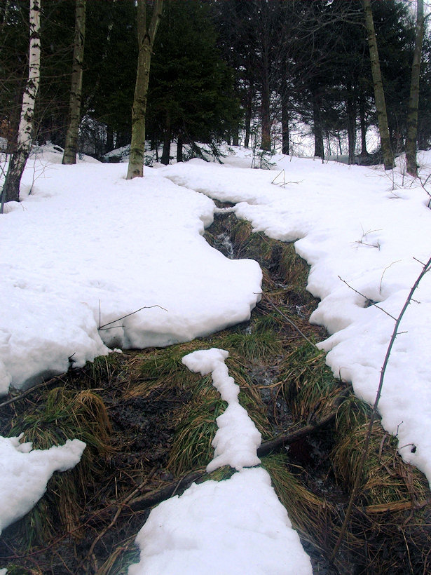 pramen Nad Čepcem (1060) - březen 2009