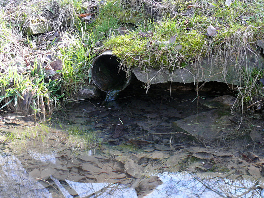 studánka U Stochovské kapličky (1061) - březen 2009