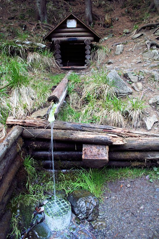 studánka Pramen Smradlava (1065) - březen 2009