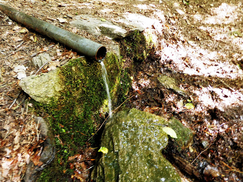 Mahrova studánka (1069) - červenec 2022