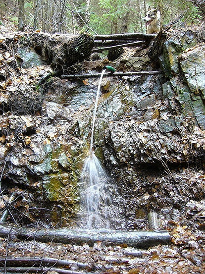 Yankeeho studánka (1077) - březen 2009