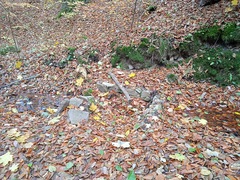 studánka Landovka (1078) - listopad 2021