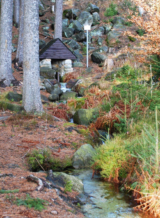 studánka Pod Panskou cestou (1080) - březen 2009
