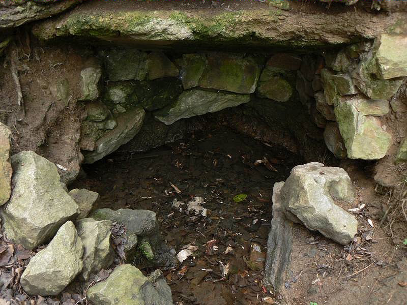 studánka Kafélanka (1081) - březen 2009