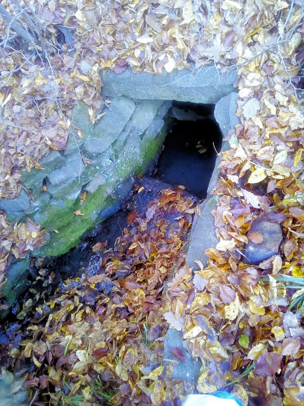 studánka bez jména (1083) - datum neznámé