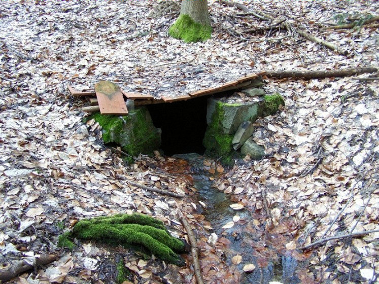 studánka Rakovec (1085) - březen 2009