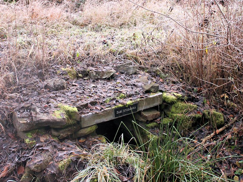 Žabí studánka (1087) - datum neznámé