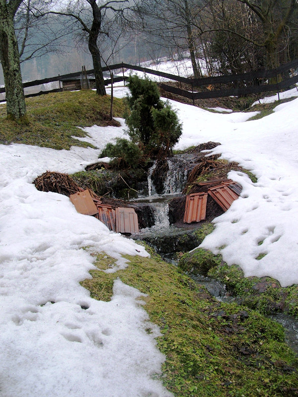 Pramen U Batěka (1089) - březen 2009