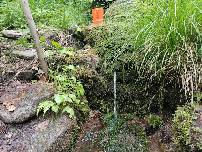 studánka Junácká (1092) - květen 2022
