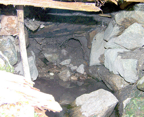 studánka bez jména (1093) - březen 2009