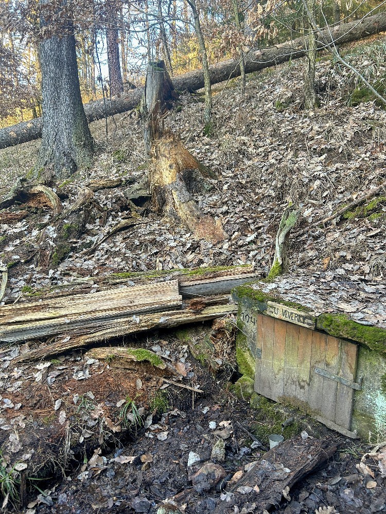 studánka U Veverky (1095) - únor 2026