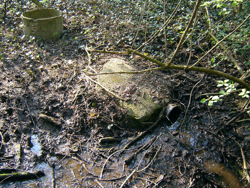 pramen Božického potoka (1134) - duben 2009