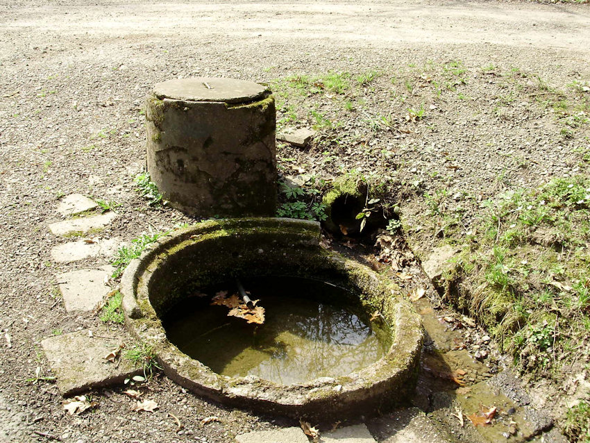 studánka U Myslivecké chaty 1 (1136) - duben 2009