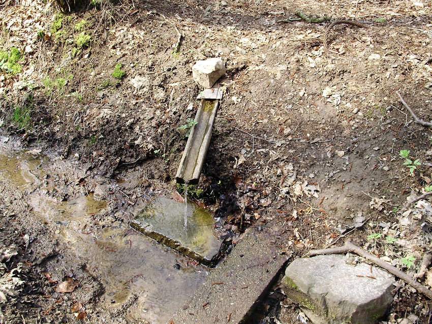 studánka U Myslivecké chaty 2 (1137) - duben 2009