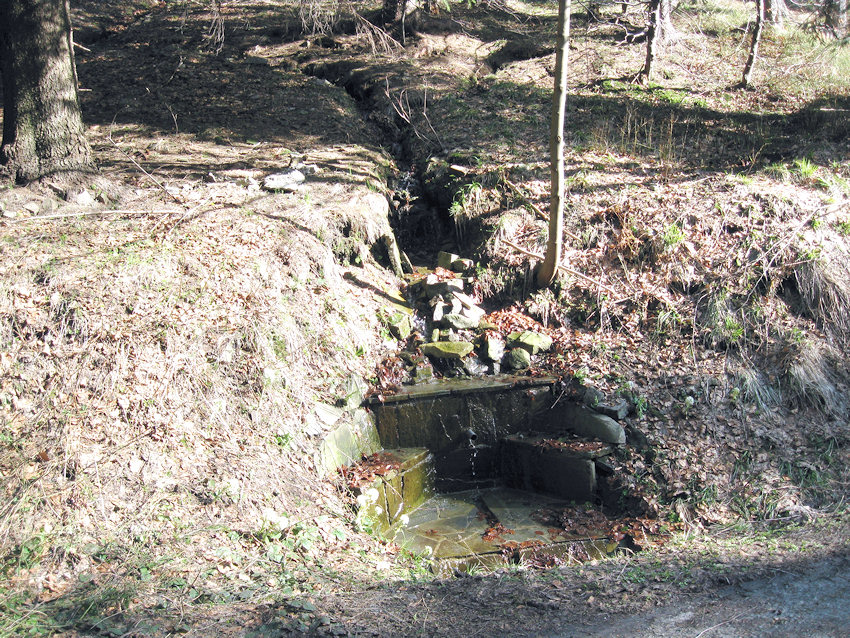 pramen Velký Lipový (1139) - duben 2009