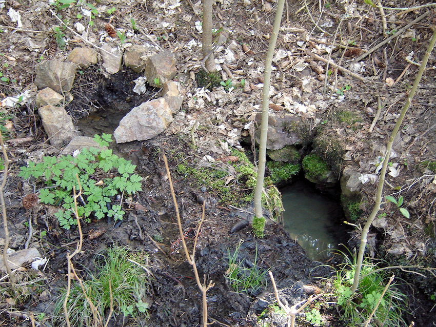 studánka Nad Žabincem (1141) - duben 2009