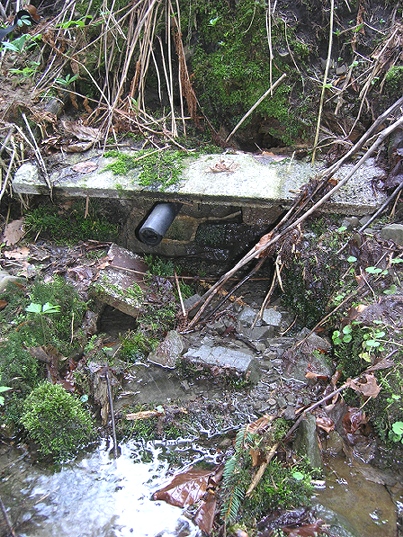 studánka bez jména (1144) - duben 2009