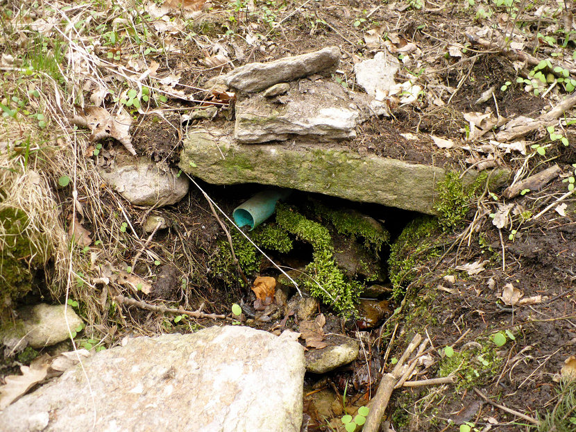 studánka Výrovka (117) - únor 2002
