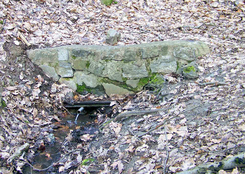Srnčí - Kroupova studánka (1171) - duben 2009