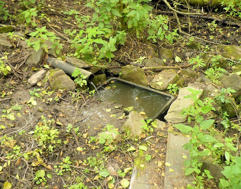 pramen U Myslivecké chaty (118) - únor 2002