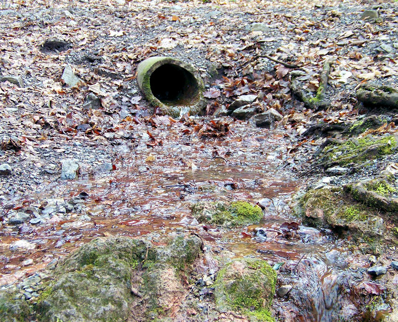 studánka Pěnovcový pramen (1181) - duben 2009