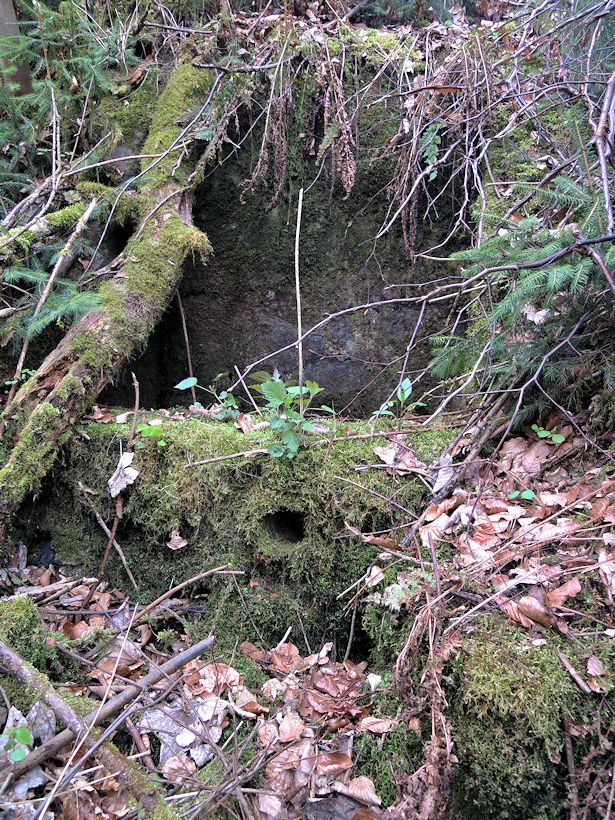 studánka U Budkovanu (1182) - datum neznámé