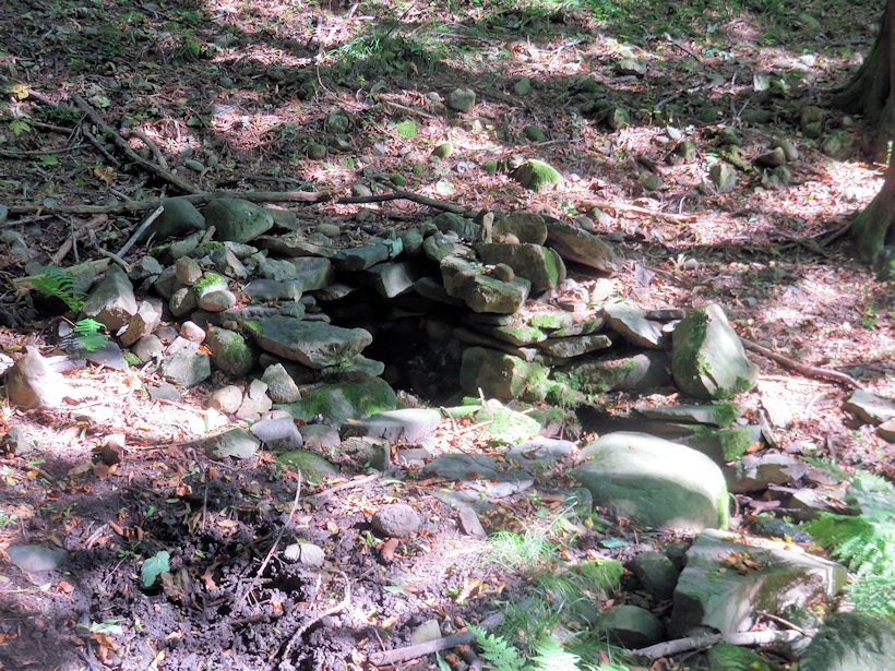 studánka U manzurské skály (1185) - září 2021